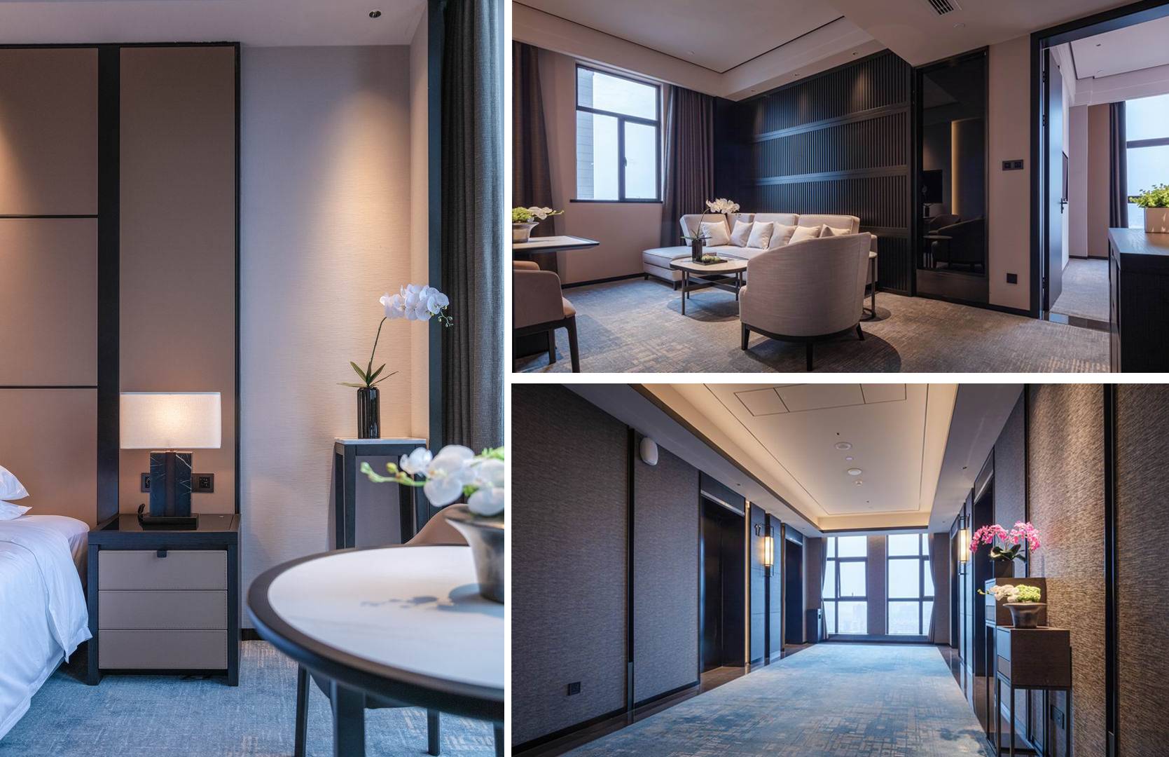 1665385905174924.jpg 配圖7.jpg